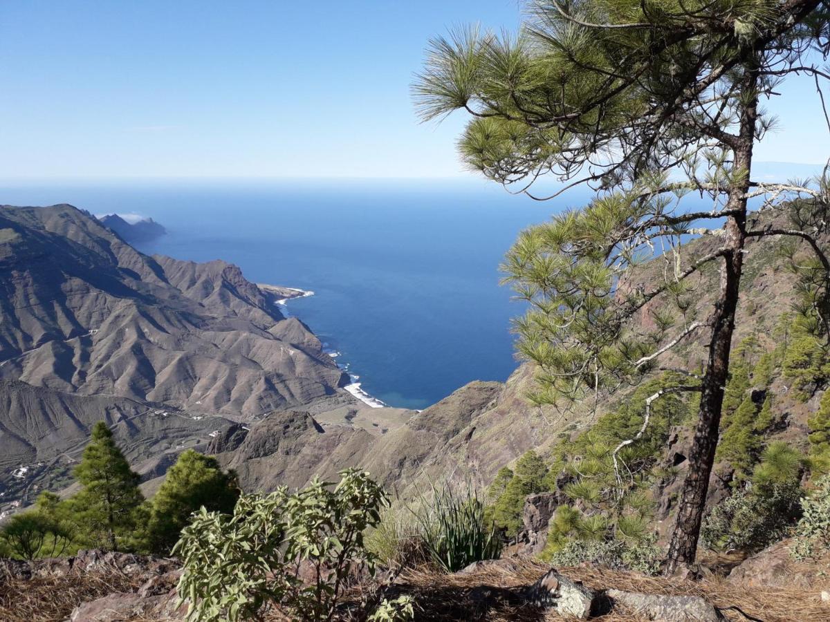 Taidia Tropical Lägenhet Maspalomas  Exteriör bild