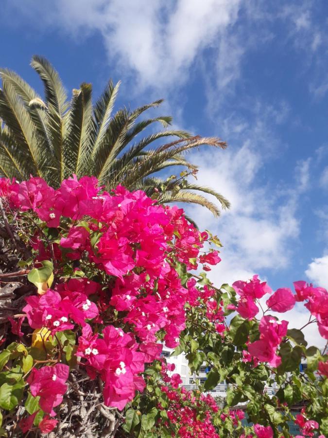 Taidia Tropical Lägenhet Maspalomas  Exteriör bild